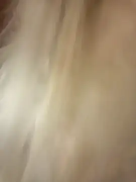 Snapshot of -RIVIERA- chatting on 11, 2, 2025 -RIVIERA- online show from 11, 2, 2025