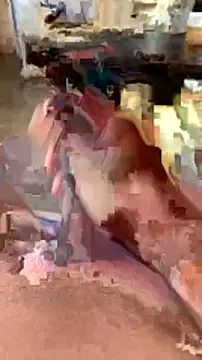 elber-gdo online show from 5, 2, 2025