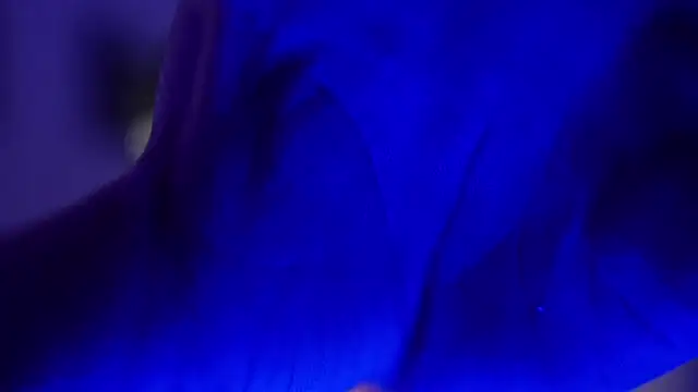 Hazzan Velez online show from 27, 11, 2025