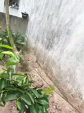 Snapshot of king_cum_ chatting on 18, 2, 2026 king cum online show from 18, 2, 2026