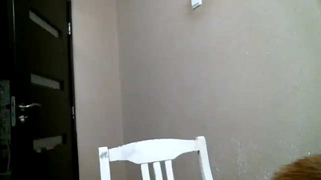 DennisXCaroll online show from 18, 2, 2025