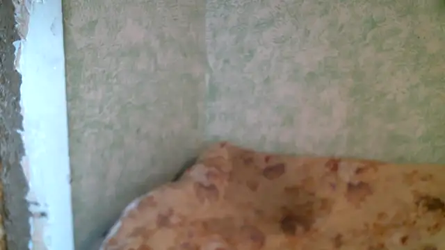 Snapshot of DennisXCaroll chatting on 23, 4, 2026 DennisXCaroll online show from 23, 4, 2026