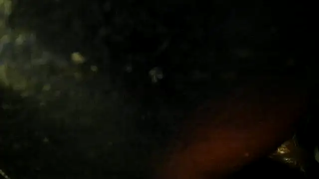 Snapshot of leatherz69 chatting on 22, 5, 2026 leatherz69 online show from 22, 5, 2026