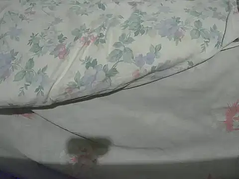 Tiger202441 online show from 20, 12, 2024