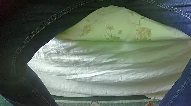 Tiger202441 online show from 27, 2, 2025