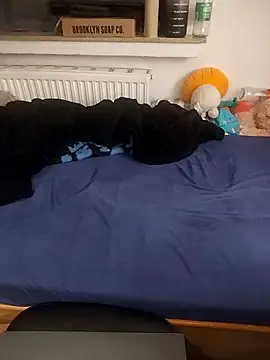 Snapshot of Dennis_2024 chatting on 9, 2, 2026 Dennis 2024 online show from 9, 2, 2026