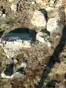 Snapshot of murokkk31 chatting on 21, 12, 2024 murokkk31 online show from 21, 12, 2024