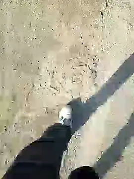 Snapshot of murokkk31 chatting on 31, 12, 2024 murokkk31 online show from 31, 12, 2024