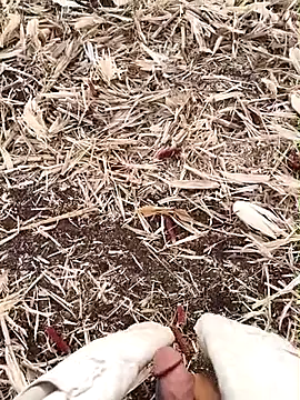 Snapshot of murokkk31 chatting on 15, 9, 2025 murokkk31 online show from 15, 9, 2025