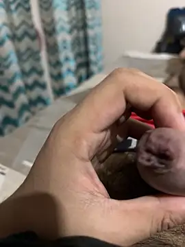 Snapshot of thecockybouy chatting on 1, 3, 2025 thecockybouy online show from 1, 3, 2025