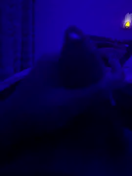 Snapshot of thecockybouy chatting on 2, 3, 2025 thecockybouy online show from 2, 3, 2025