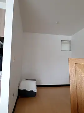  monicab online show from 20, 3, 2025