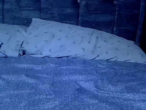 Lutyie online show from 11, 3, 2026