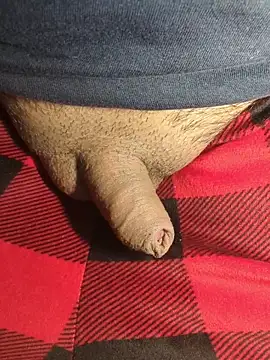 publicsir online show from 10, 4, 2026