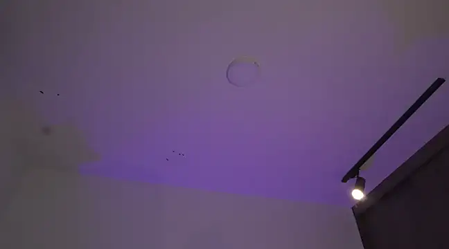 appolo allen online show from 17, 3, 2025