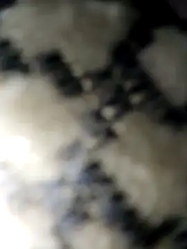 BBbentCock online show from 11, 6, 2026
