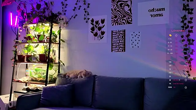 Your Corvus online show from 5, 12, 2025