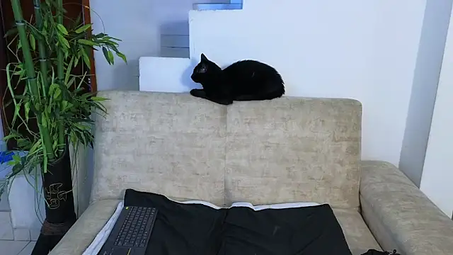 Snapshot of Lorenne_Miller chatting on 22, 4, 2026 Lorenne Miller online show from 22, 4, 2026