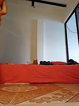 Snapshot of Abbyjonhson__ chatting on 11, 2, 2026 Abbyjonhson online show from 11, 2, 2026