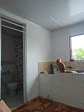 Snapshot of Abbyjonhson__ chatting on 30, 5, 2026 Abbyjonhson online show from 30, 5, 2026