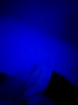 Snapshot of HELL_FIRE chatting on 24, 10, 2025 HELL FIRE online show from 24, 10, 2025