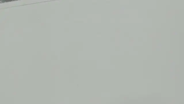 Littleolivia  online show from 4, 2, 2025