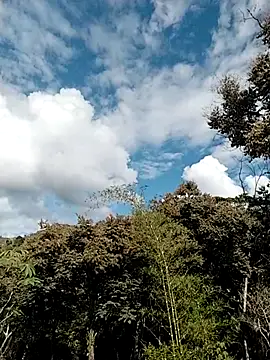 Snapshot of andreu_mature chatting on 3, 5, 2026 andreu mature online show from 3, 5, 2026