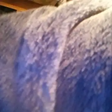 Snapshot of amarrabrown2024 chatting on 15, 10, 2025 amarrabrown2024 online show from 15, 10, 2025