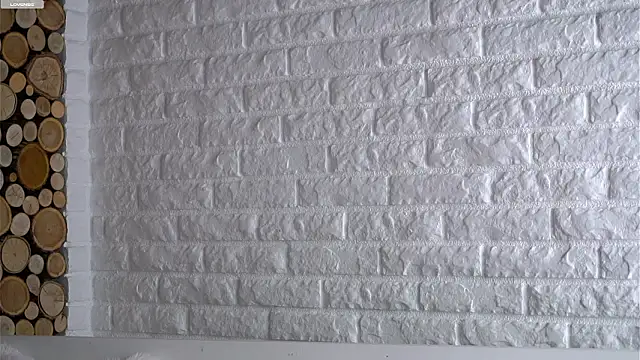 Snapshot of LowOncoming chatting on 10, 3, 2026 LowOncoming online show from 10, 3, 2026