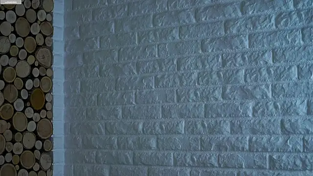 Snapshot of LowOncoming chatting on 15, 3, 2026 LowOncoming online show from 15, 3, 2026