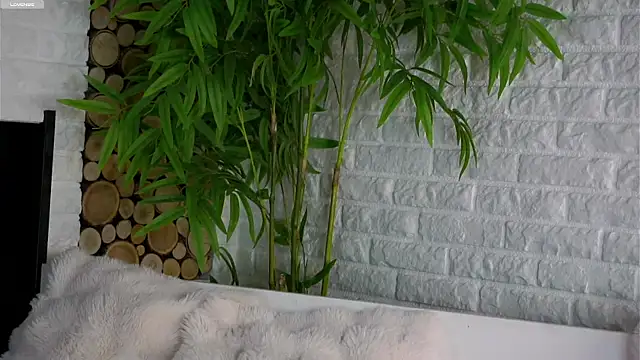 Snapshot of LowOncoming chatting on 25, 3, 2026 LowOncoming online show from 25, 3, 2026