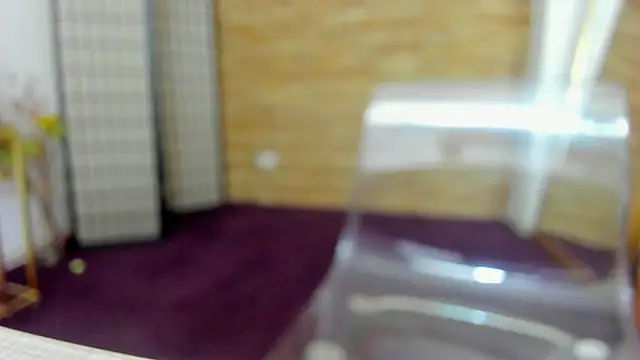 Snapshot of AishaRouhi chatting on 1, 12, 2025 AishaRouhi online show from 1, 12, 2025