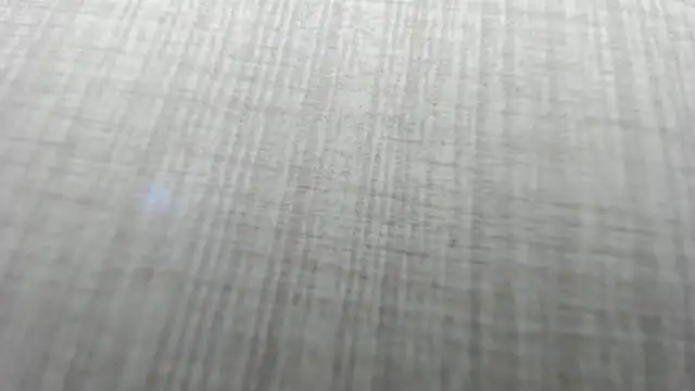 Snapshot of AishaRouhi chatting on 2, 12, 2025 AishaRouhi online show from 2, 12, 2025