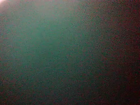 mumbi91 online show from 11, 1, 2025