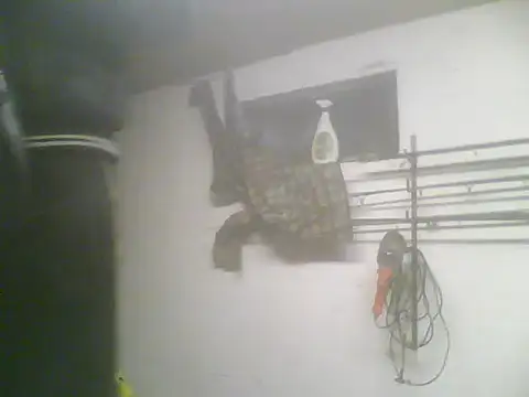 Snapshot of Rejtelmesest chatting on 22, 2, 2025 Rejtelmesest online show from 22, 2, 2025