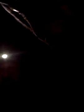 Snapshot of SInfiniSensation1 chatting on 23, 4, 2026 SInfiniSensation1 online show from 23, 4, 2026