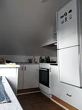 Snapshot of Analcholic chatting on 2, 11, 2025 Analcholic online show from 2, 11, 2025