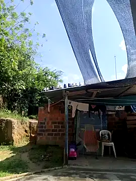 sexy-latin10 online show from 1, 3, 2025