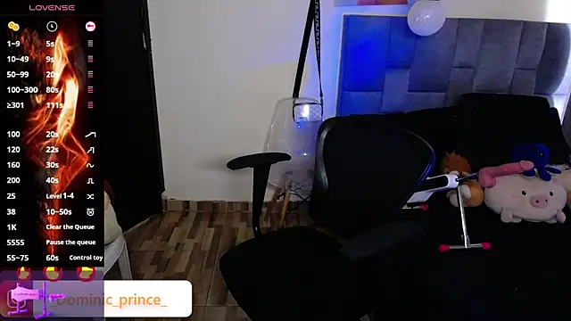 DominicPrince online show from 24, 11, 2025