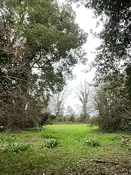 Alicia Hot1 online show from 10, 2, 2025