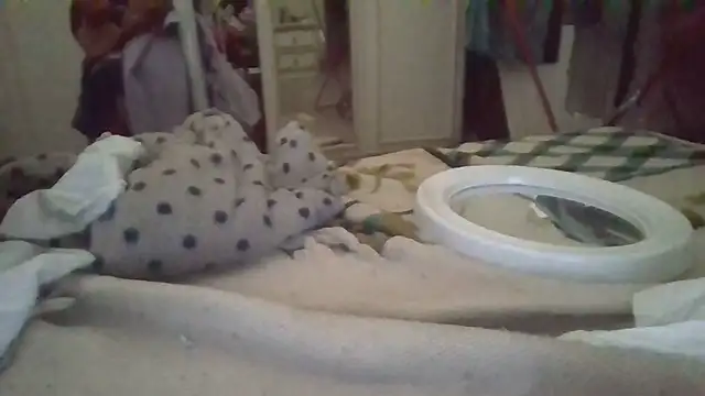 biuv online show from 6, 11, 2025