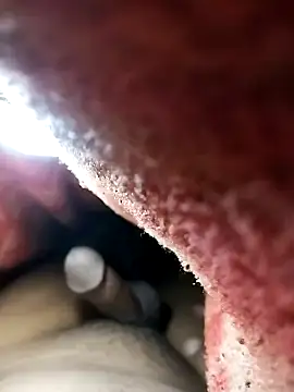 Nzfl97 online show from 1, 2, 2025