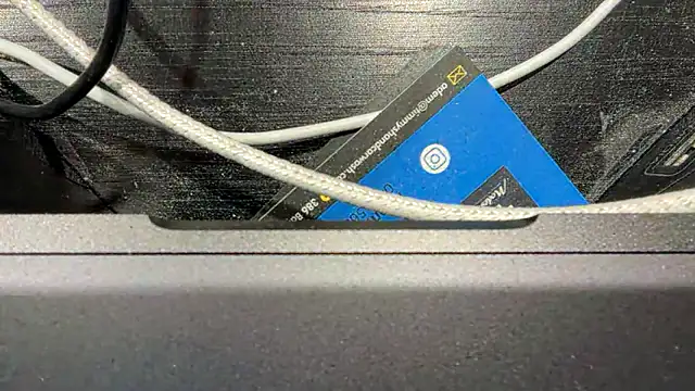 Snapshot of TinyTraps chatting on 17, 12, 2024 TinyTraps online show from 17, 12, 2024