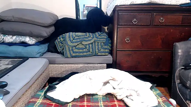 ladyscarlotta online show from 9, 2, 2025