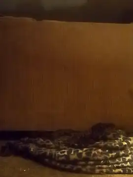 Snapshot of luke_thighwalker2469 chatting on 8, 2, 2025 luke thighwalker2469 online show from 8, 2, 2025