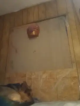 Snapshot of luke_thighwalker2469 chatting on 15, 2, 2025 luke thighwalker2469 online show from 15, 2, 2025