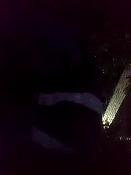 mis312 online show from 18, 11, 2025