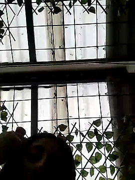 Snapshot of ailyn_miranda chatting on 15, 3, 2025 ailyn miranda online show from 15, 3, 2025