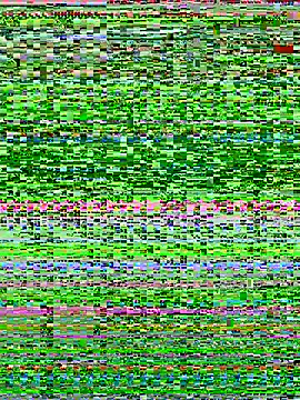 Snapshot of Bella_babei01 chatting on 11, 1, 2026 Bella babei01 online show from 11, 1, 2026