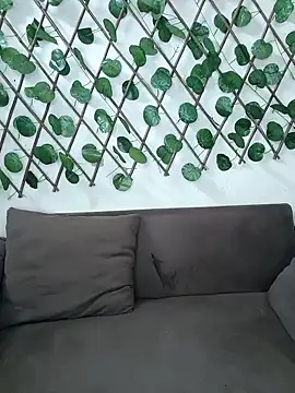 Bold-Cat online show from 20, 11, 2025